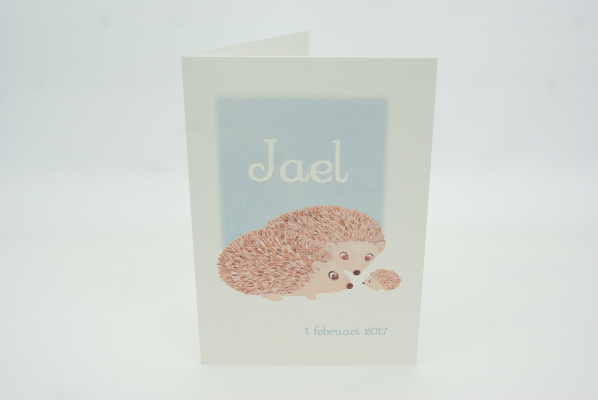 geboortekaartje jael lichtblauw